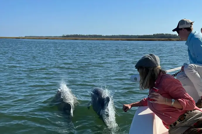 Unforgettable Dolphin and Nature Tours